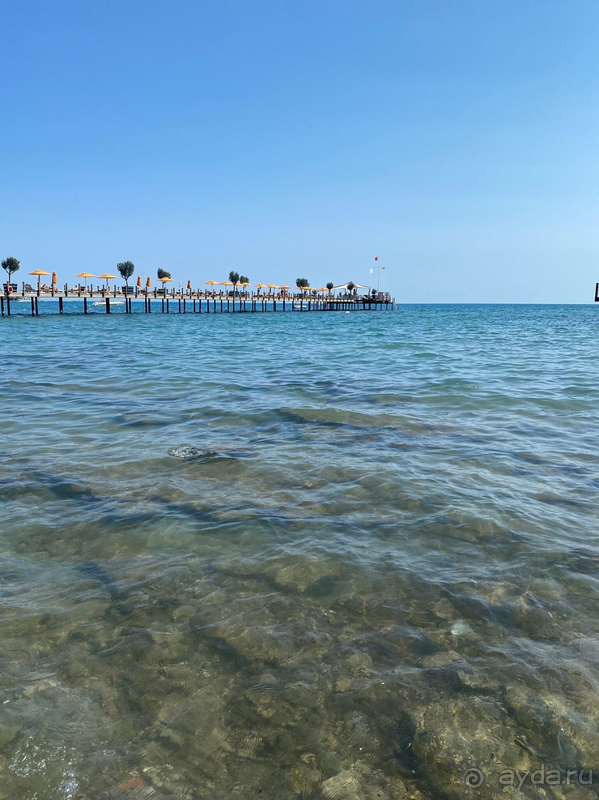 Душевно, вкусно и уютно!