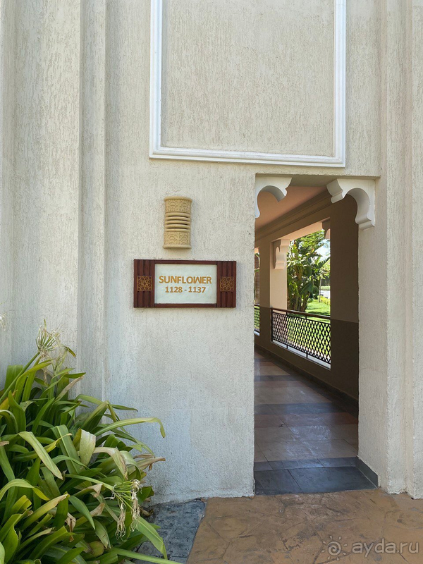 Отдых в отеле Sunrise Arabian Beach Resort