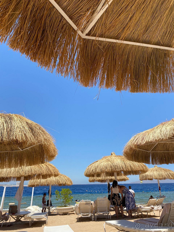 Отдых в отеле Sunrise Arabian Beach Resort