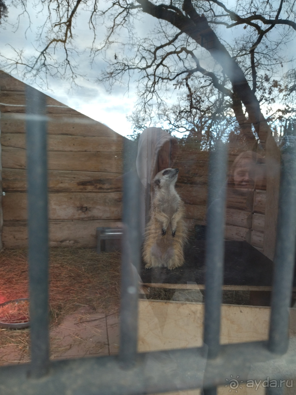 Наш любимый отель