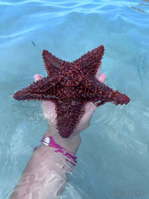 Отличный отель (гиды говорили-лучший на Варадеро)!