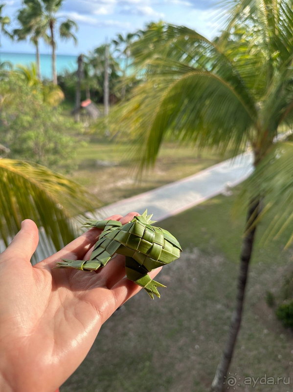 Отличный отель (гиды говорили-лучший на Варадеро)!