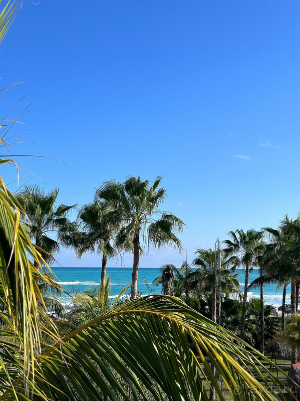 Отличный отель (гиды говорили-лучший на Варадеро)!