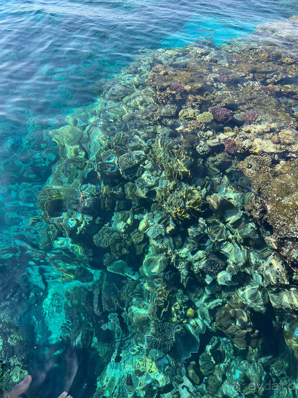 Второй раз, и далеко не последний!!