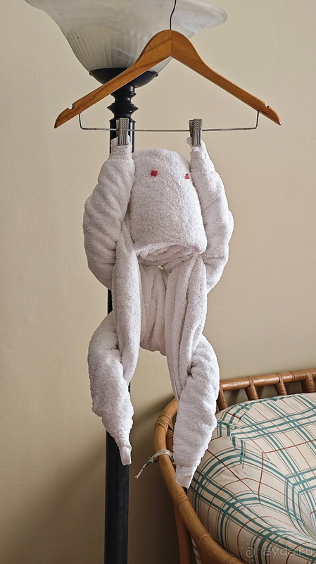 Отдых в Sheraton soma bay