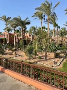 Наша первая поездка в Египет