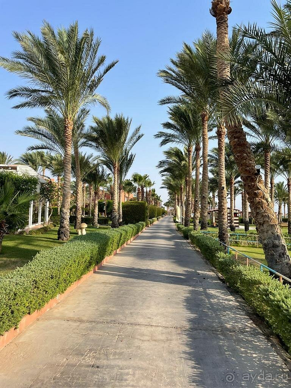 Наша первая поездка в Египет