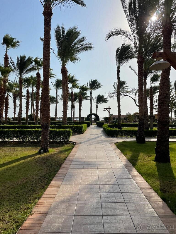 Наша первая поездка в Египет