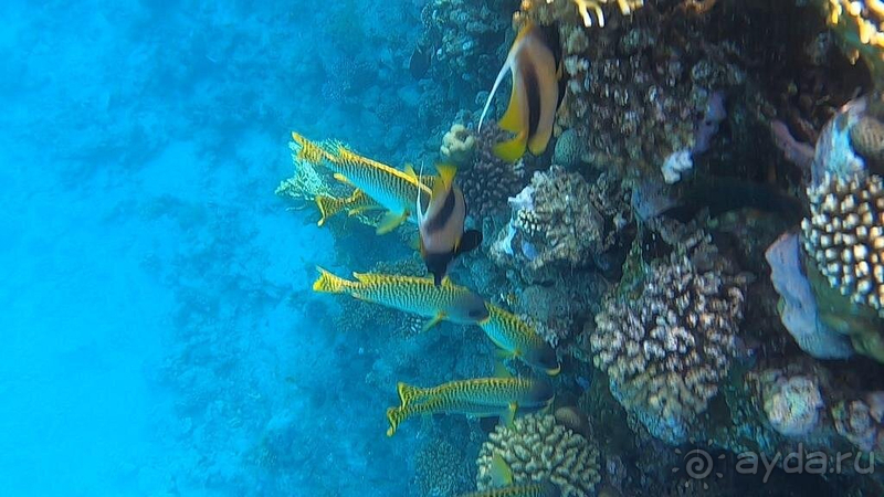 Наша первая поездка в Египет