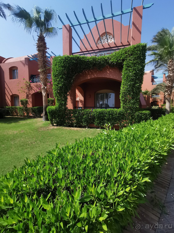 Наша первая поездка в Египет