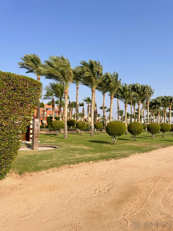 Наша первая поездка в Египет