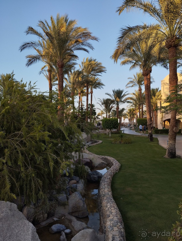 Райская сказка