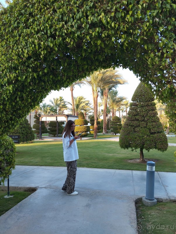 Райская сказка