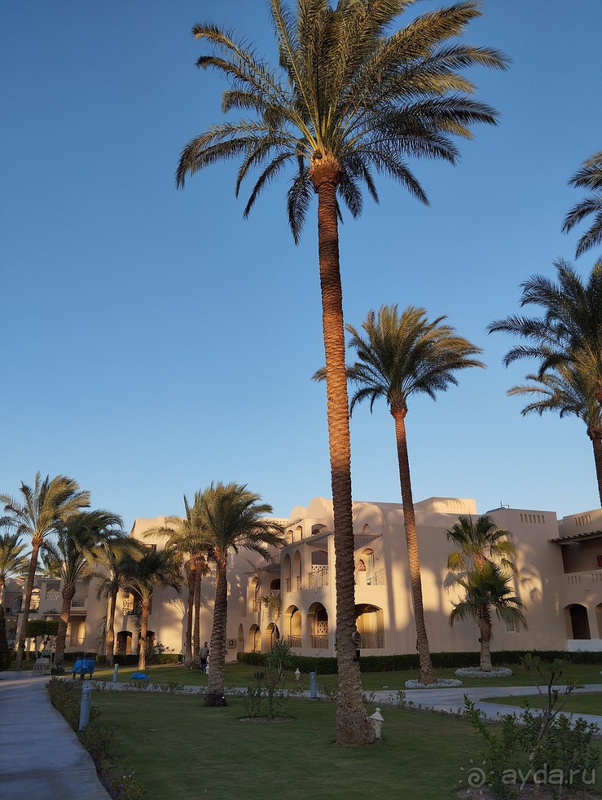 Райская сказка