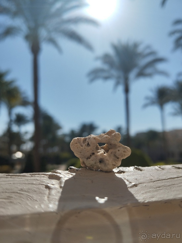 Райская сказка