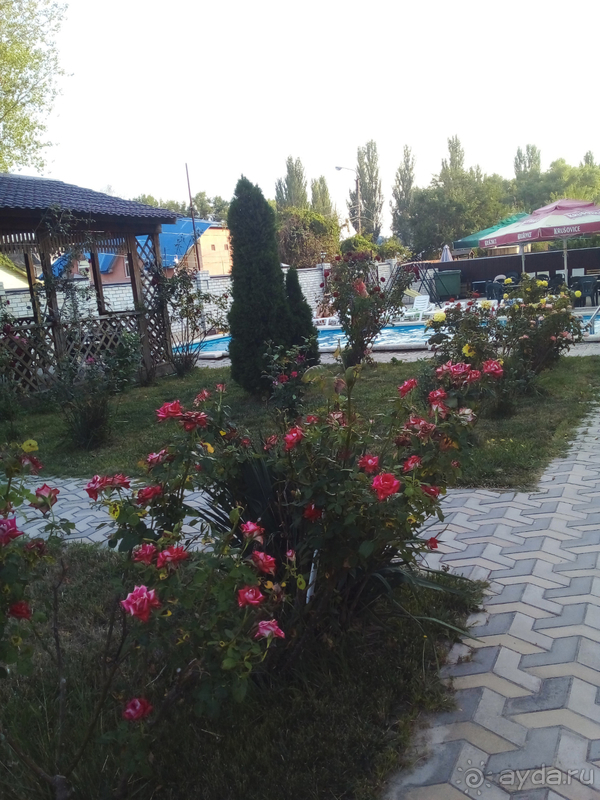 Отзыв об отеле 