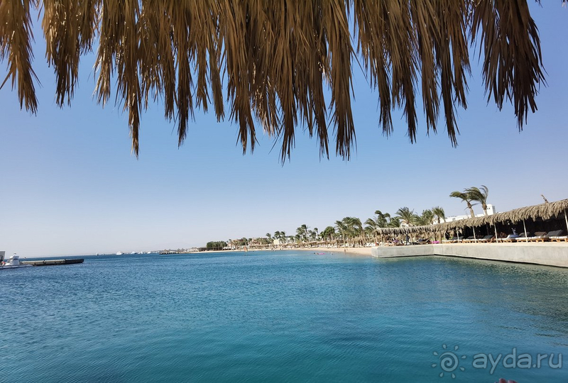 Это была первая поездка в Египет. И хорошо, что мы поехали в этот отель