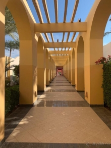 Перспективный отель. Желаю успешного развития