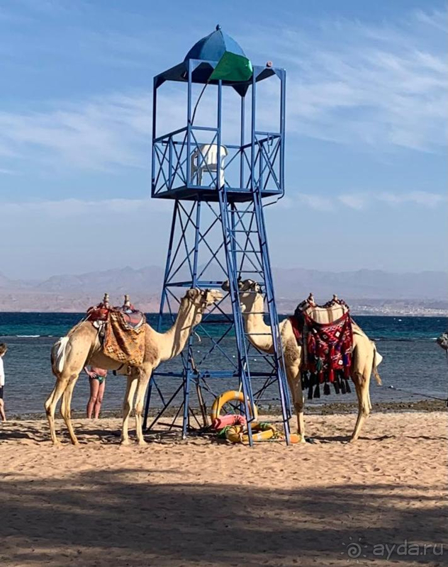 Перспективный отель. Желаю успешного развития