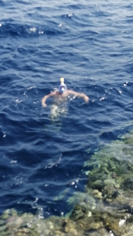 Впечатлений много, большей частью положительные.