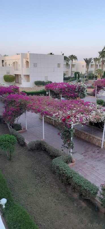 Впечатлений много, большей частью положительные.