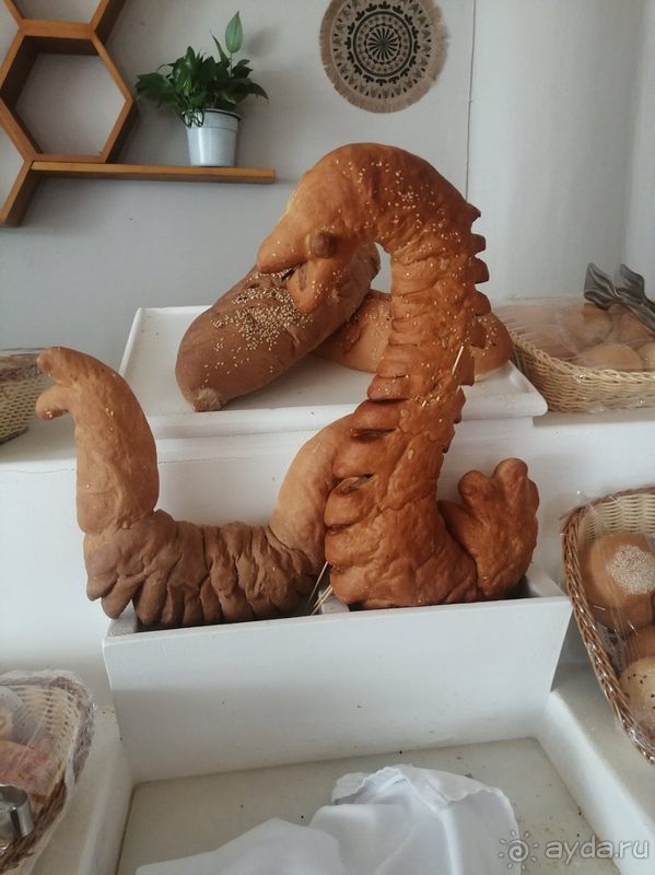 Впечатлений много, большей частью положительные.