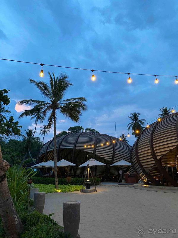 Я очарована!