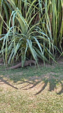 Обычный отель , не впечатлил