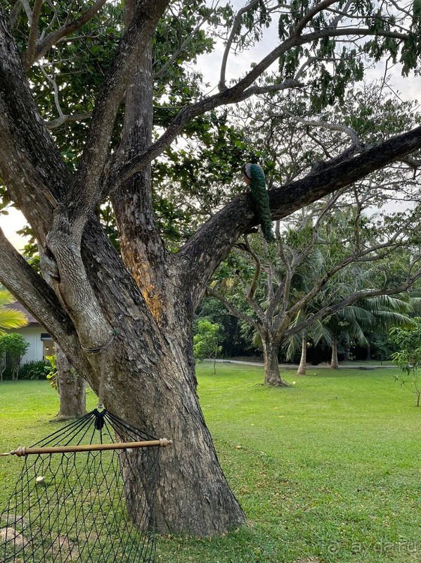 Райское место