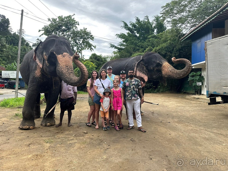 Чудесная Шри Ланка