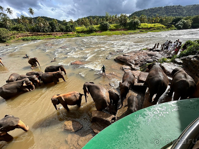 Чудесная Шри Ланка
