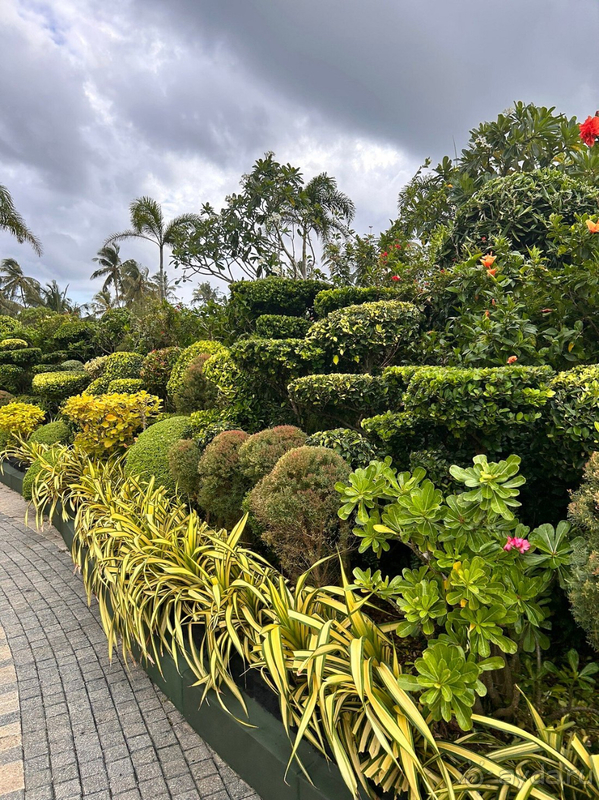 Чудесная Шри Ланка Чудесная Шри Ланка