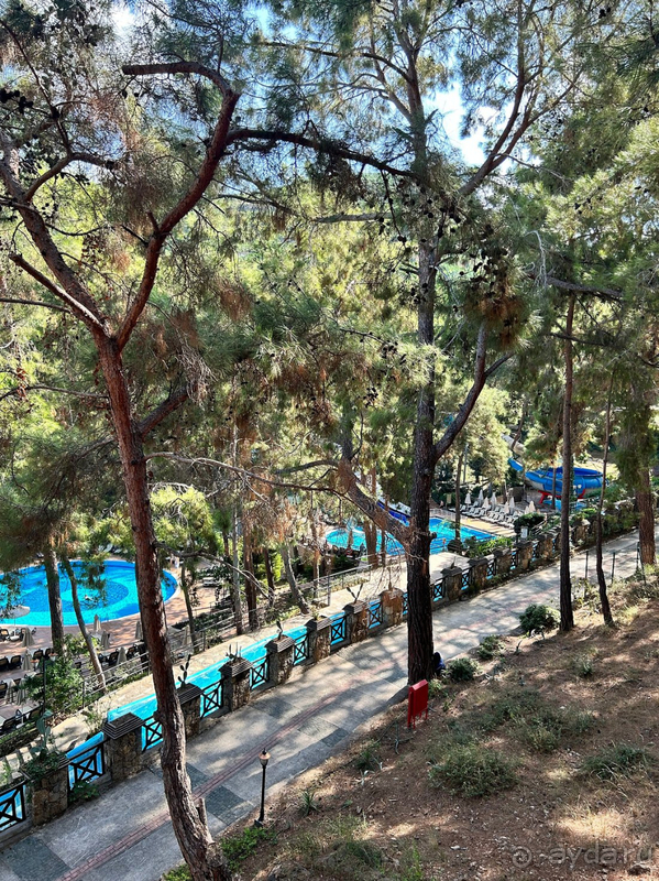 Мы прожили целую жизнь в этом отеле 💔