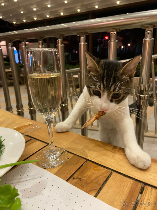 Уровень отеля ниже заявленного. Красивая природа!