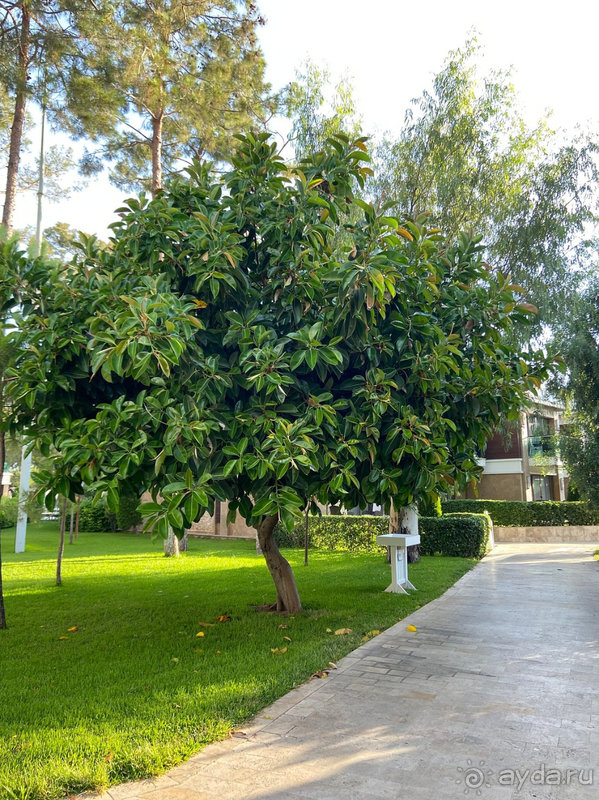 Уровень отеля ниже заявленного. Красивая природа!