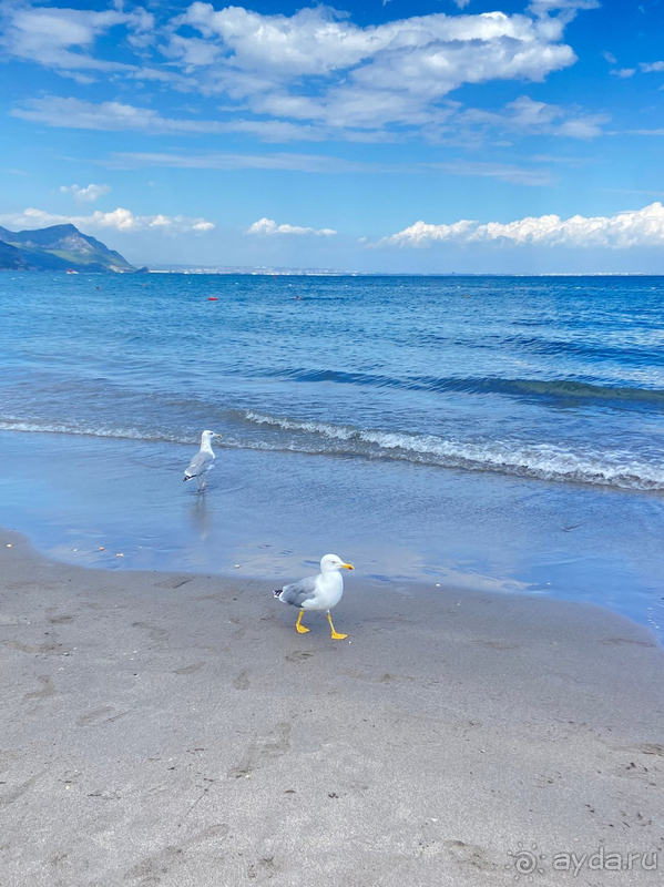 Уровень отеля ниже заявленного. Красивая природа!