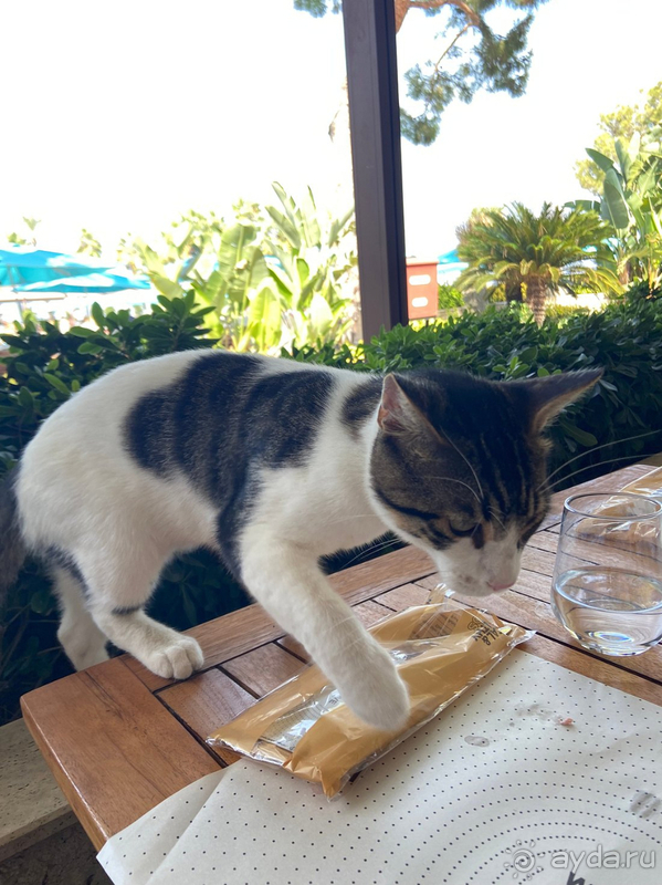 Уровень отеля ниже заявленного. Красивая природа!