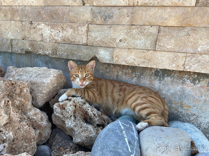 Уровень отеля ниже заявленного. Красивая природа!