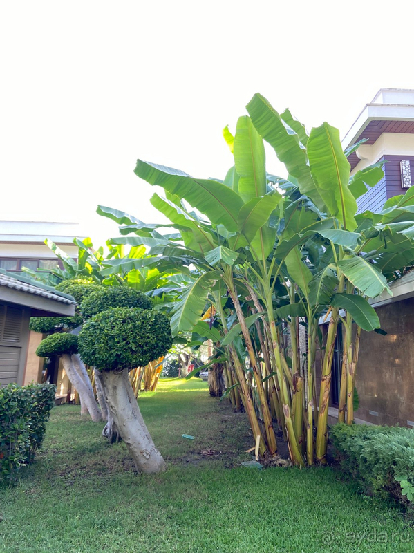 Уровень отеля ниже заявленного. Красивая природа!