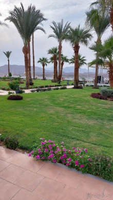 Первое знакомство с Египтом!