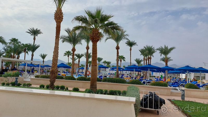 Первое знакомство с Египтом!