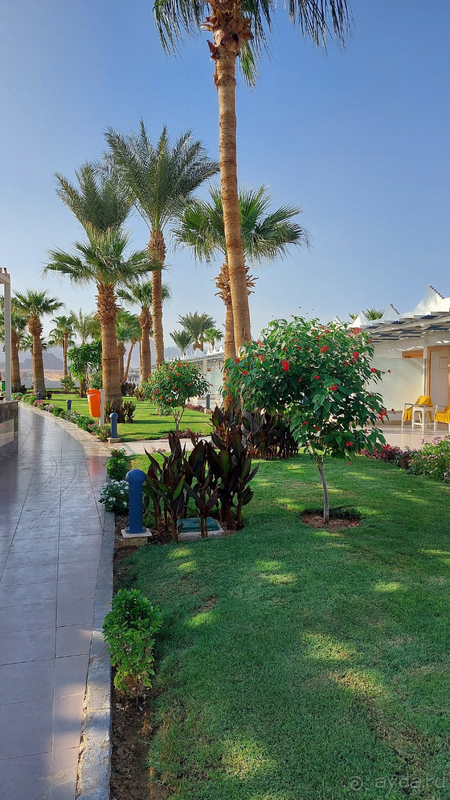 Первое знакомство с Египтом!