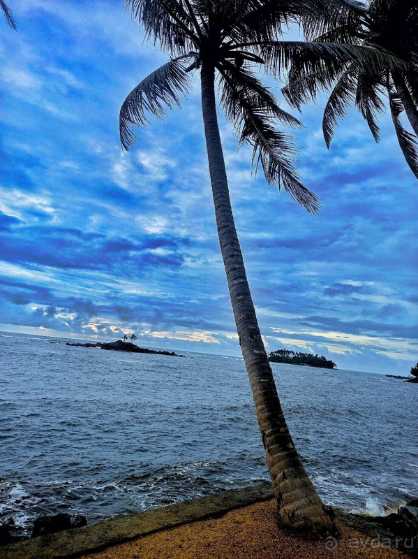 Шри-ланка в сердце, отель разочаровал