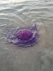 Отель на твёрдую 3*