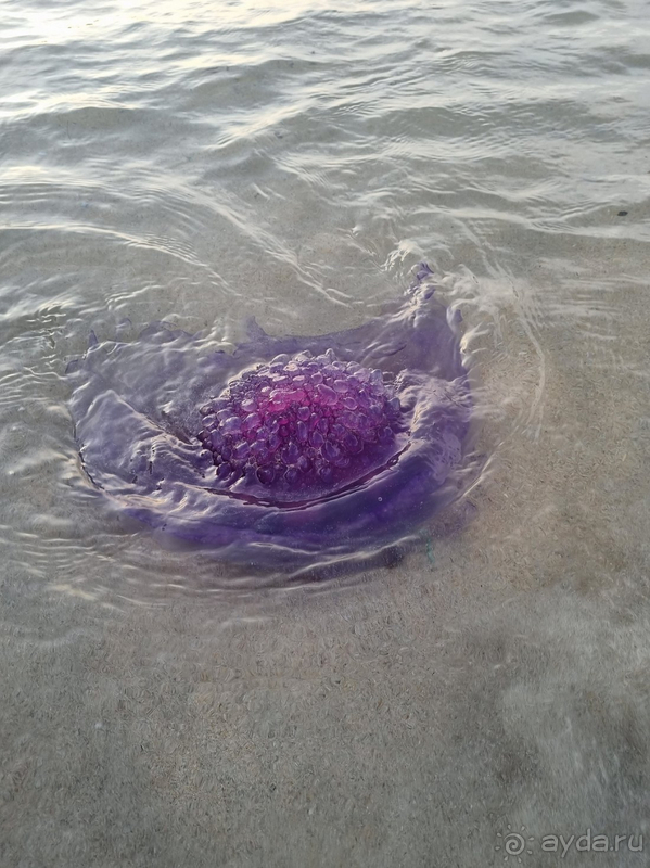 Отель на твёрдую 3*