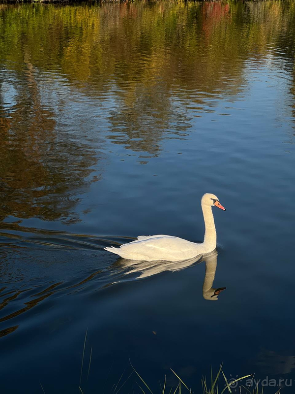 Мой отдых в гостиничном комплексе