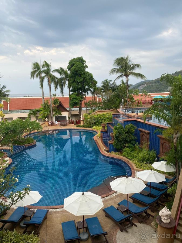 Шикарный вид на пляж и закаты, красивая , зеленая территория!