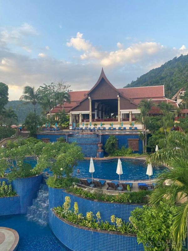 Шикарный вид на пляж и закаты, красивая , зеленая территория!