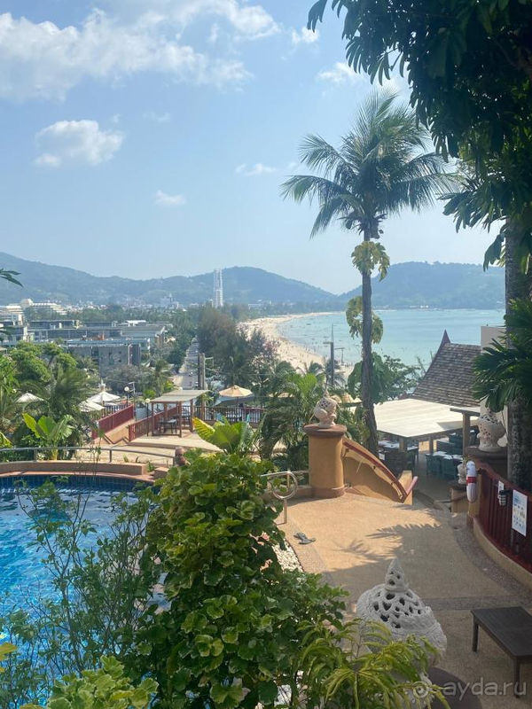 Шикарный вид на пляж и закаты, красивая , зеленая территория!