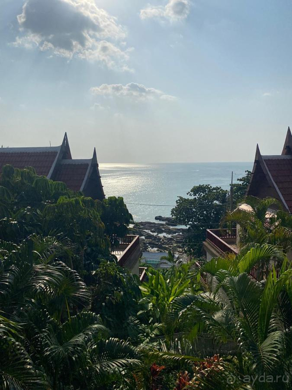 Шикарный вид на пляж и закаты, красивая , зеленая территория!